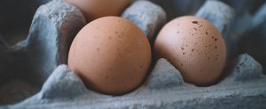 eggs-in-a-carton