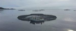 fish farm wide shot
