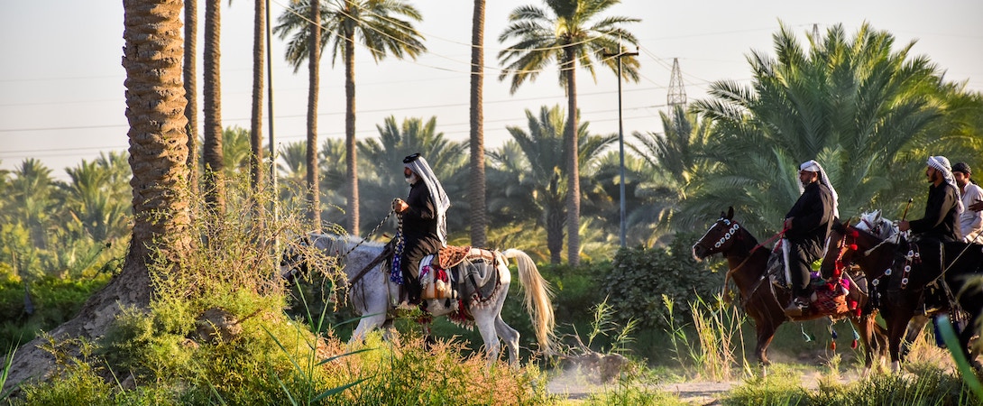 horses-in-iraq