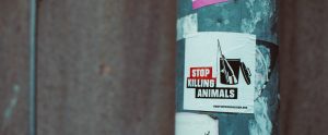 animal-rights-sticker-on-a-pole