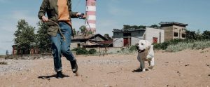person-taking-dog-for-walk