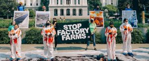 stop factory farms protest