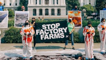 stop factory farms protest