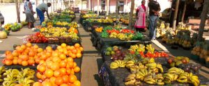 grocery-stand-south-africa