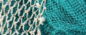 fish netting