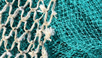 fish netting