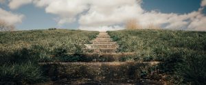 grassy staircase pathway