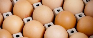eggs in a cardboard tray