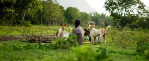 two people sitting in grass field with two dogs