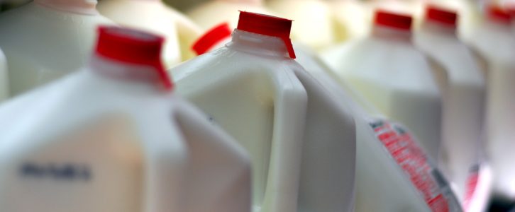 plastic jugs of milk at grocery store