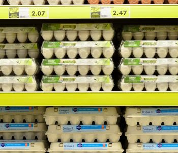 supermarket shelves stacks of egg cartons