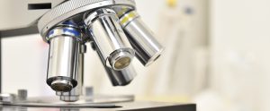 microscope close up
