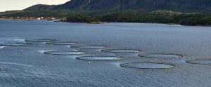 open-net pens fish farming Norway