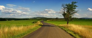 country road with farmland on either side