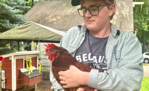 holding a chicken
