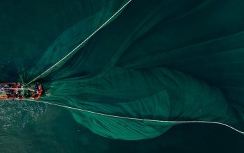 fishing boat pulling net view from above