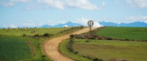 dirt road running between farm fields South Africa