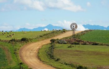 dirt road running between farm fields South Africa