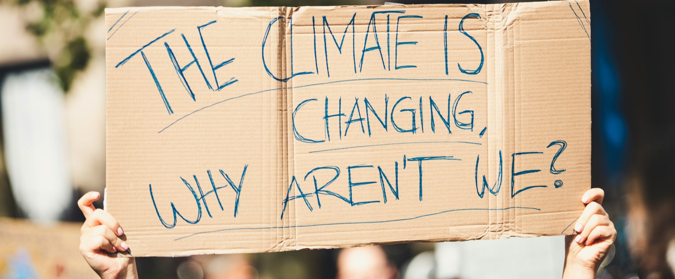 climate change protest sign the climate is changing why aren't we