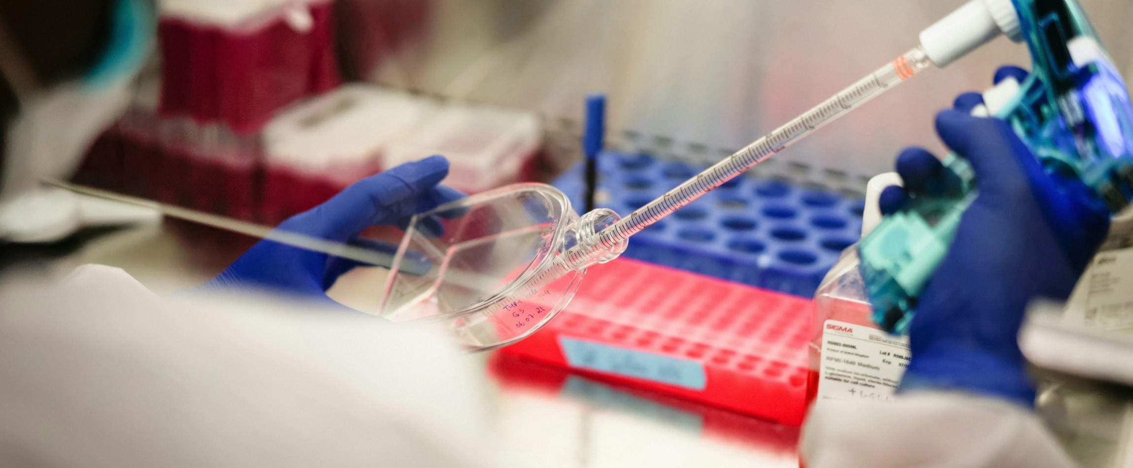 researcher measuring volume of cell cultures for experiment