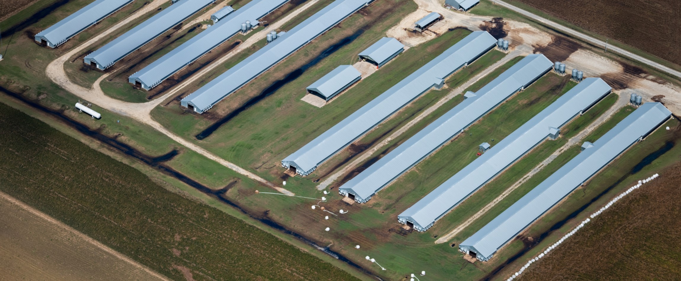 aerial view of concentrated animal feeding operation North Carolina