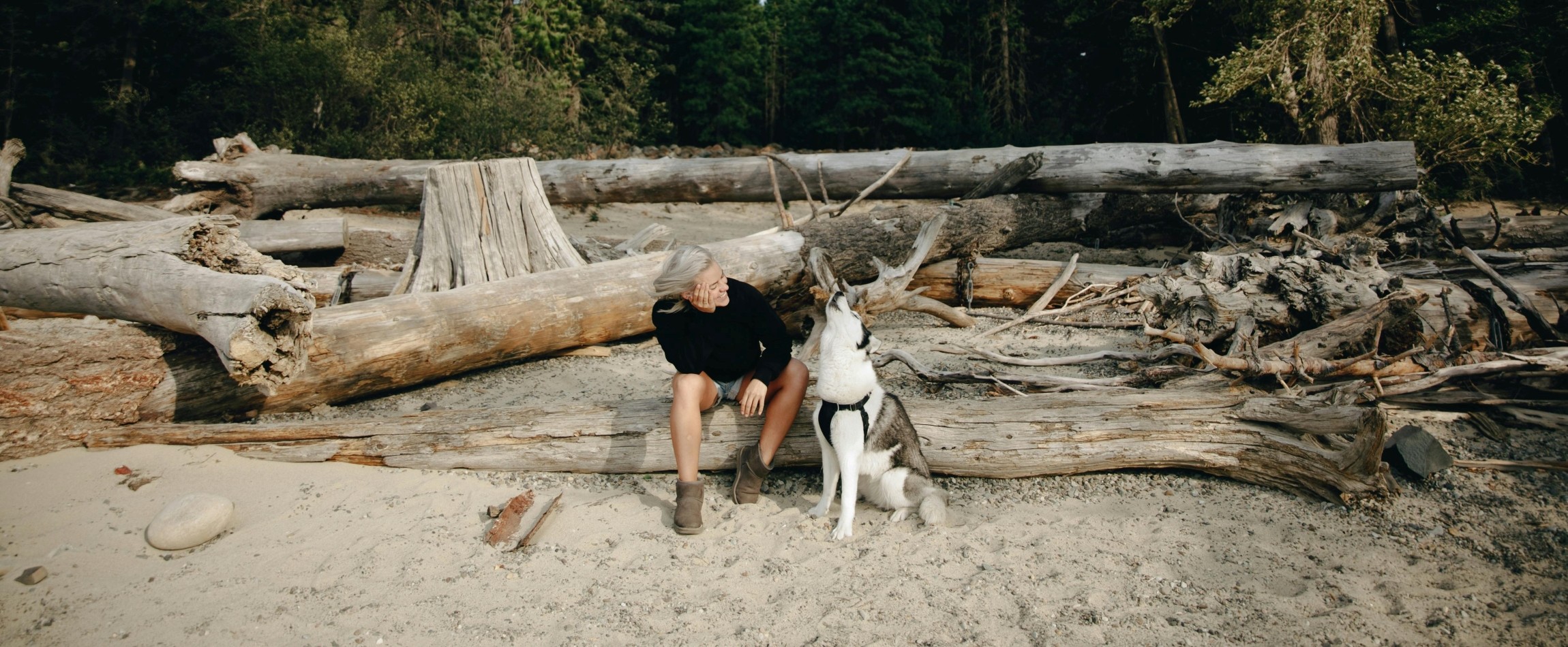 husky howling with person smiling on sandy beach