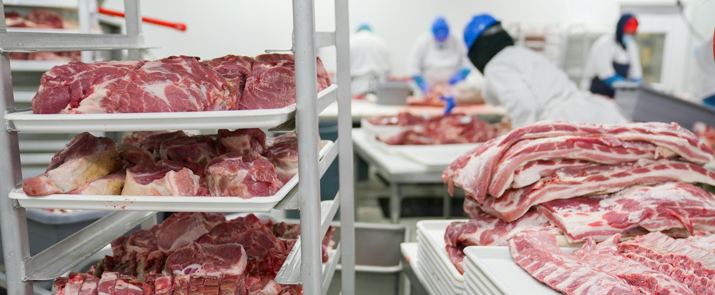 workers in meat processing plant