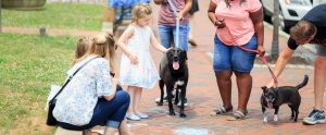 group of people outdoors petting dogs
