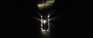 investigator in a factory farm