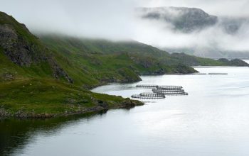 fish farm pens in open water Norway