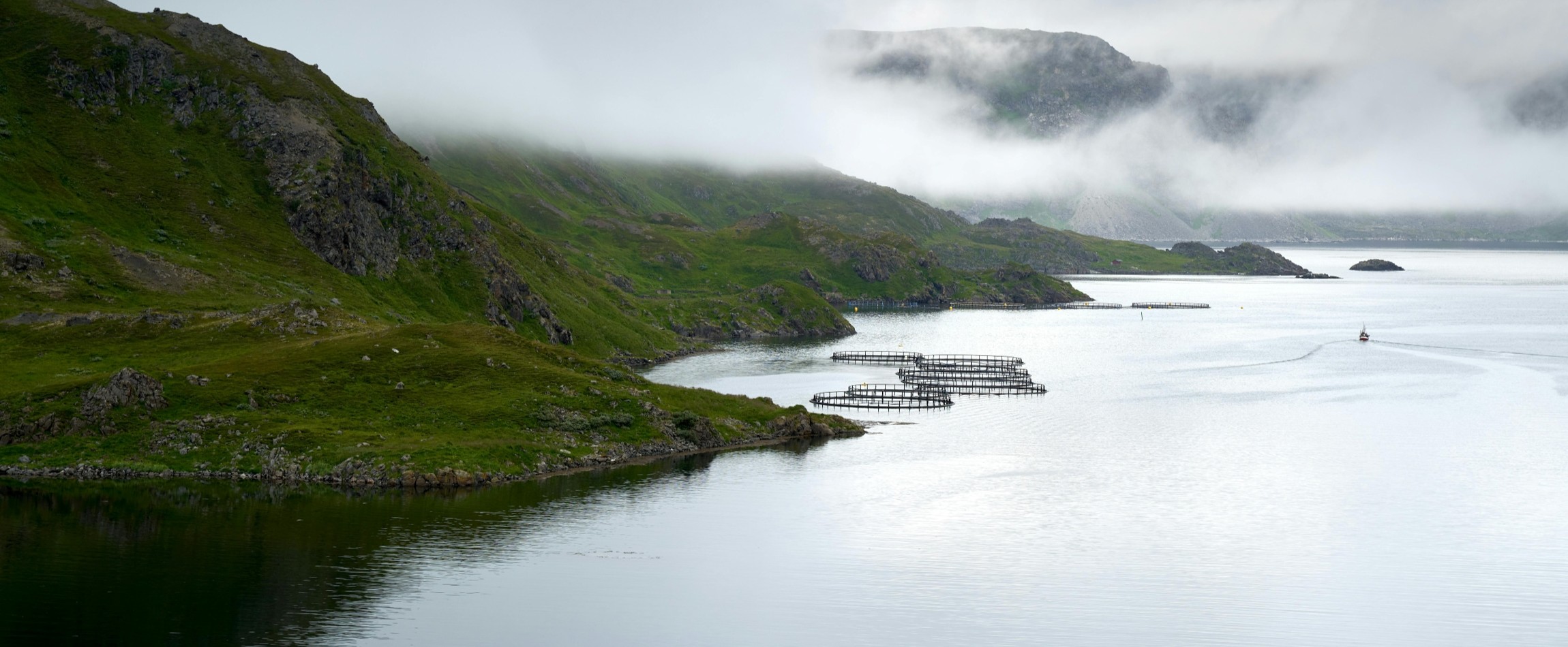 fish farm pens in open water Norway