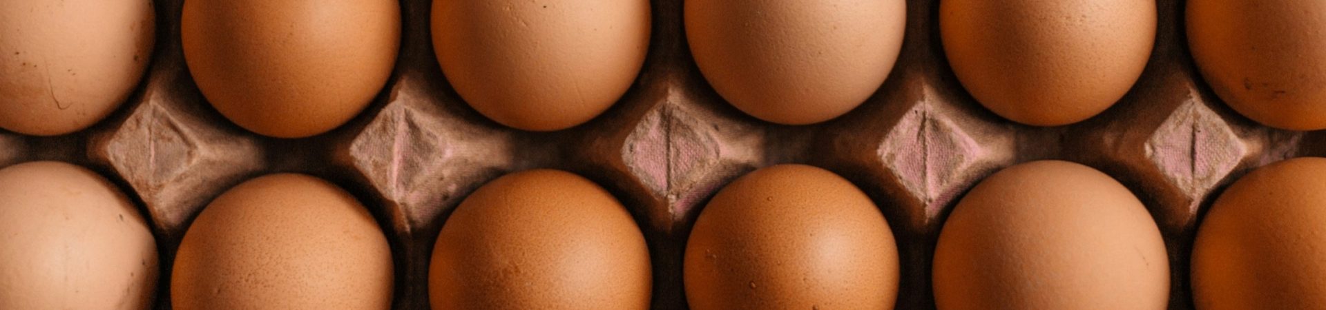 rows of brown eggs in cardboard tray