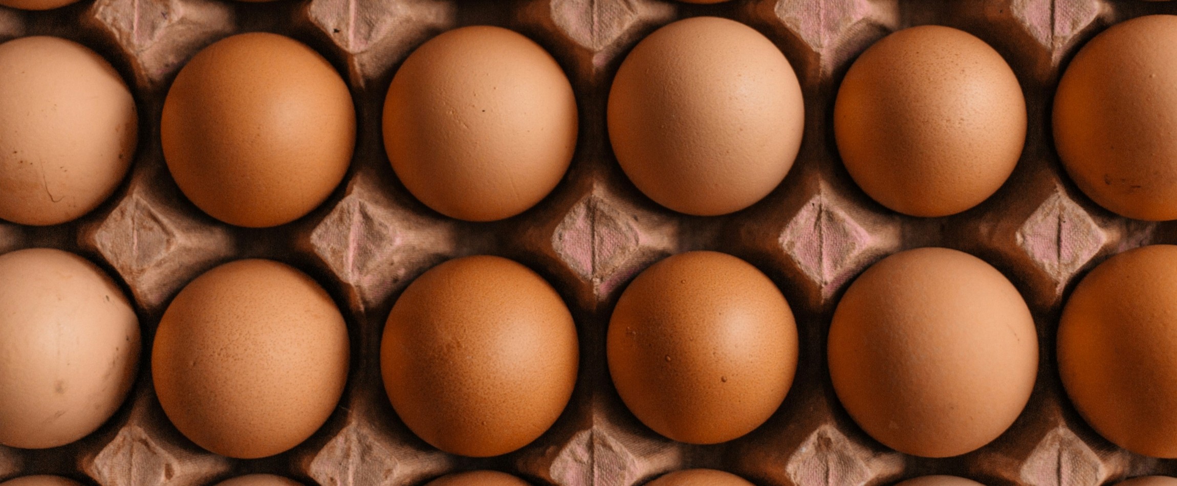 rows of brown eggs in cardboard tray