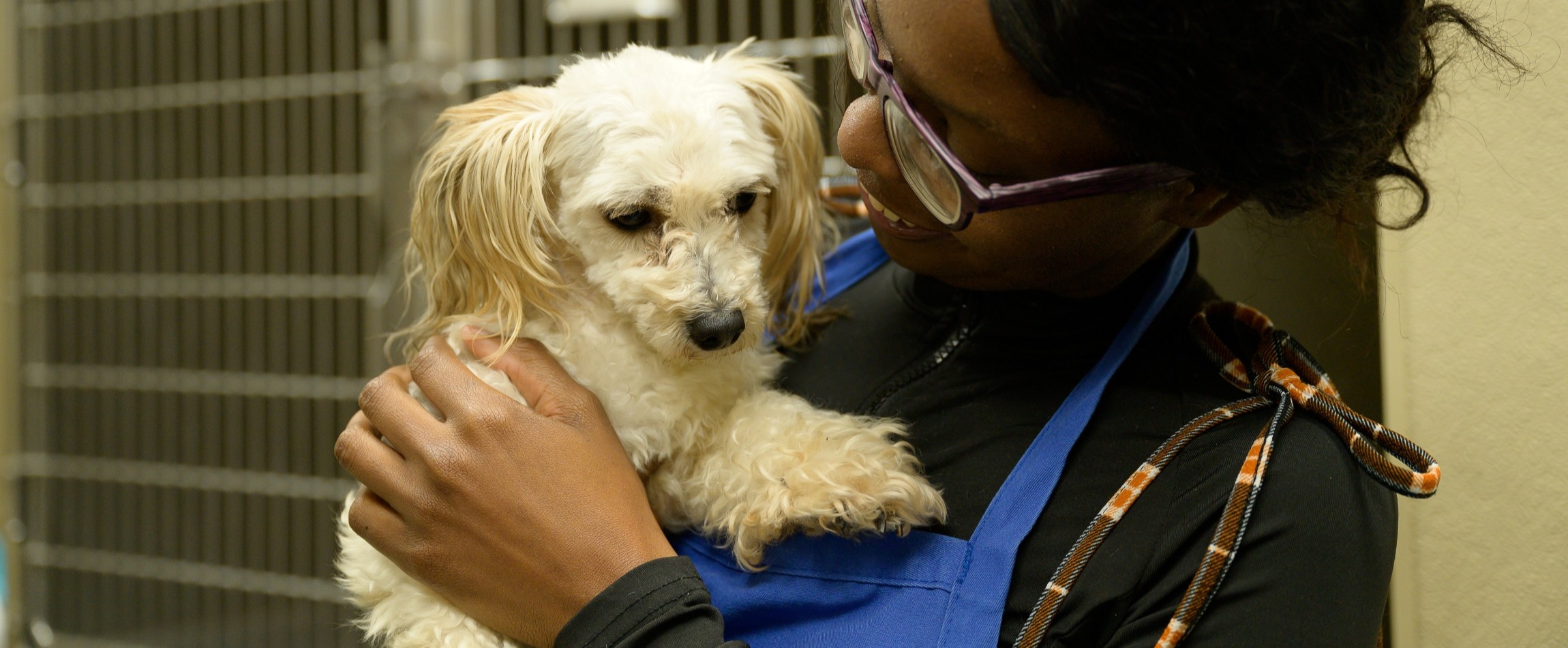 woman holding small white dog animal shelter
