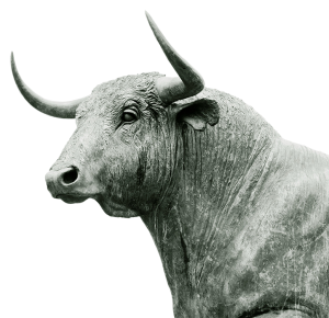 bull statue stock market