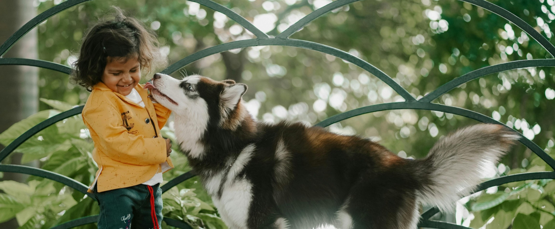 child laughing as fluffy dog licks face