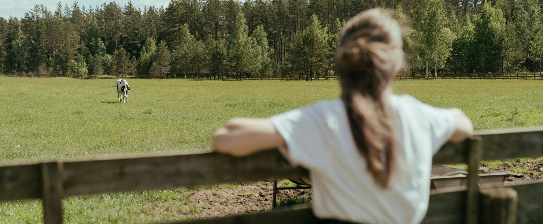 woman leaning on fence staring at black-and-white cow in field
