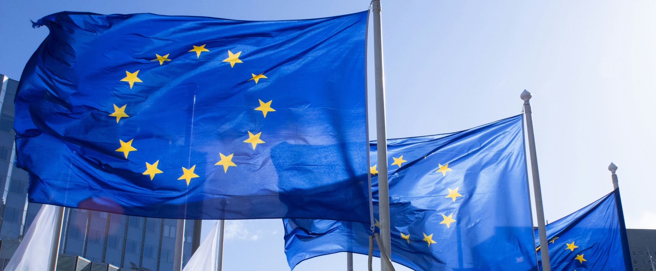 european union flags