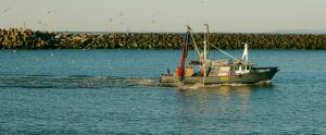 fishing boat New South Wales Australia