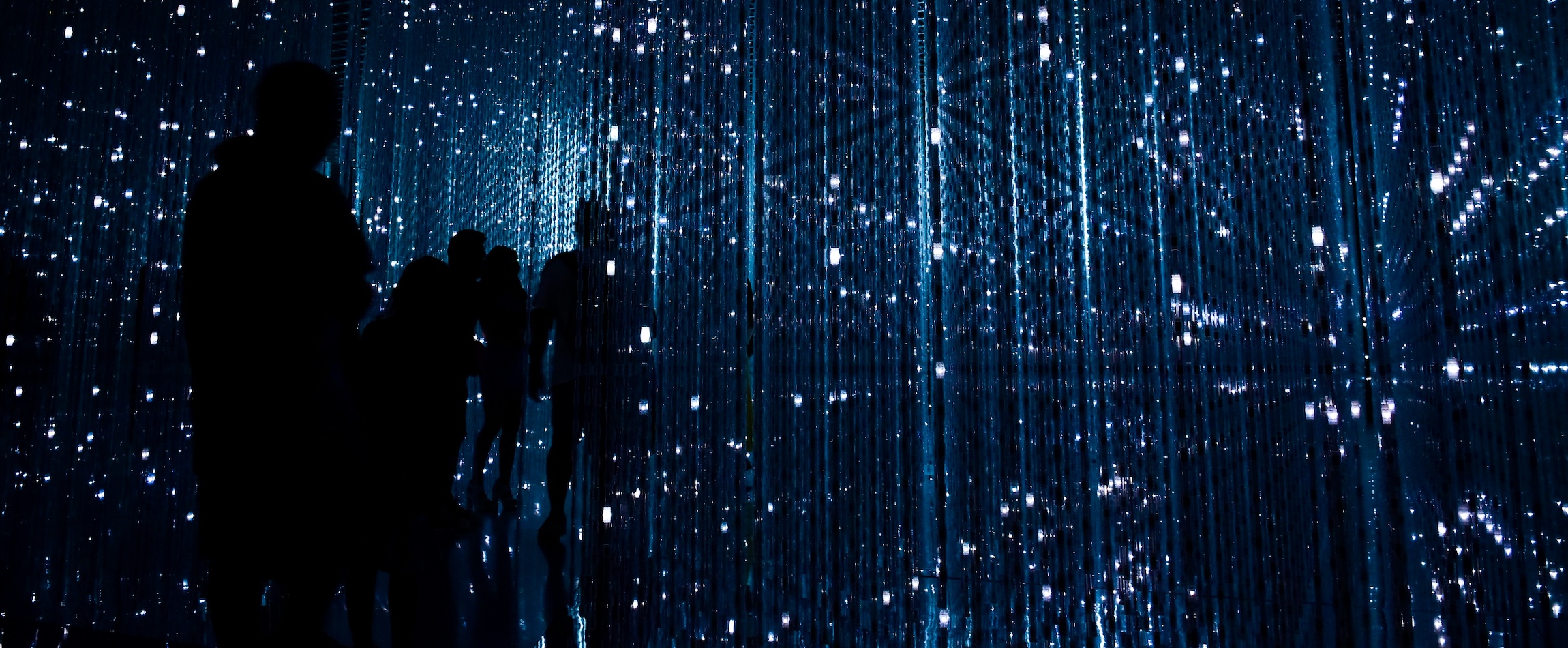 silhouettes in a futuristic art installation