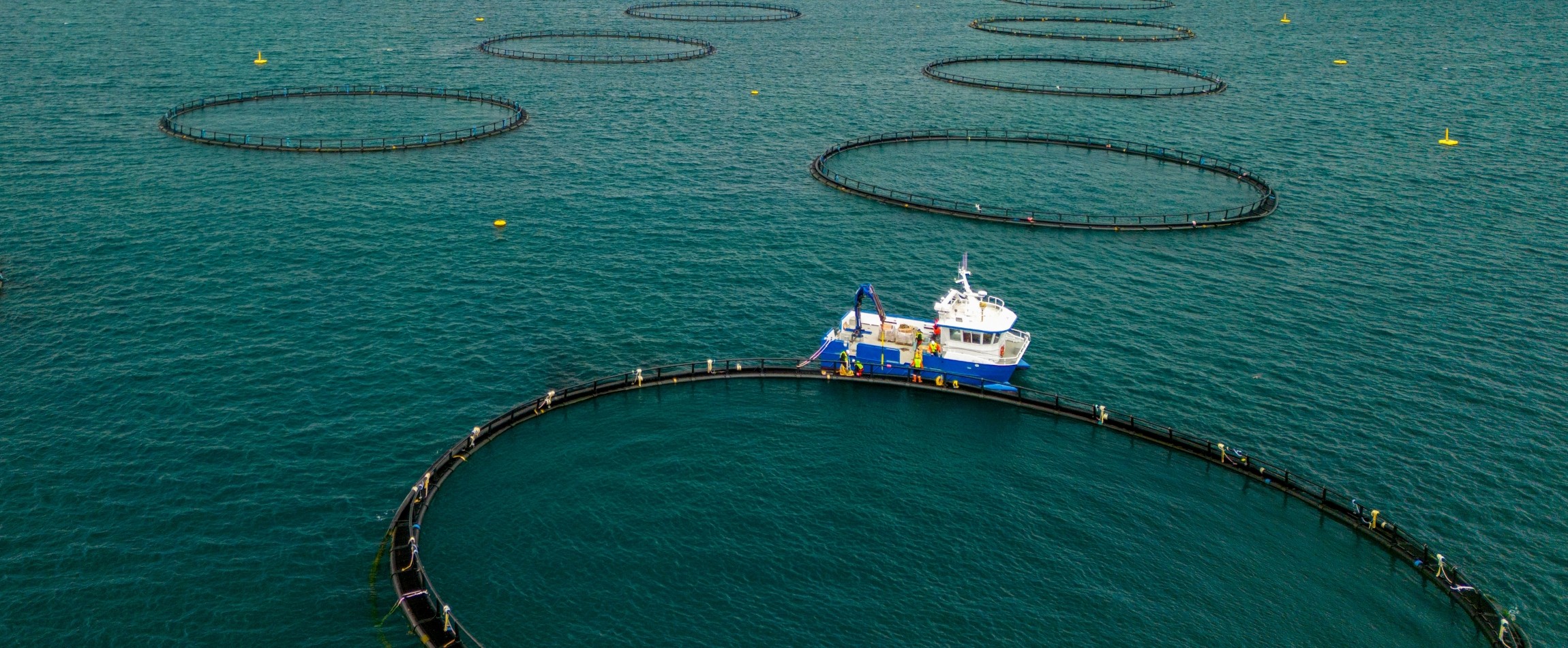 open-net pens fish farming Iceland