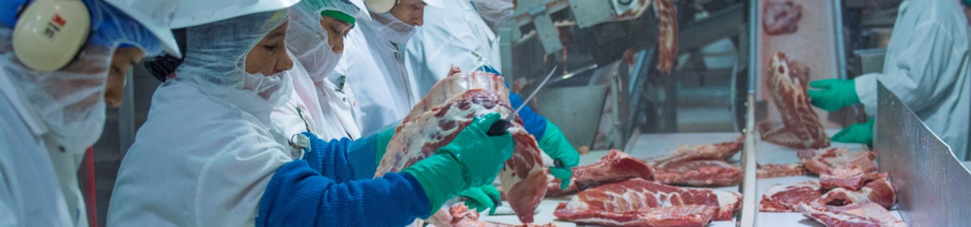 workers in pork processing plant