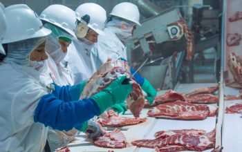 workers in pork processing plant