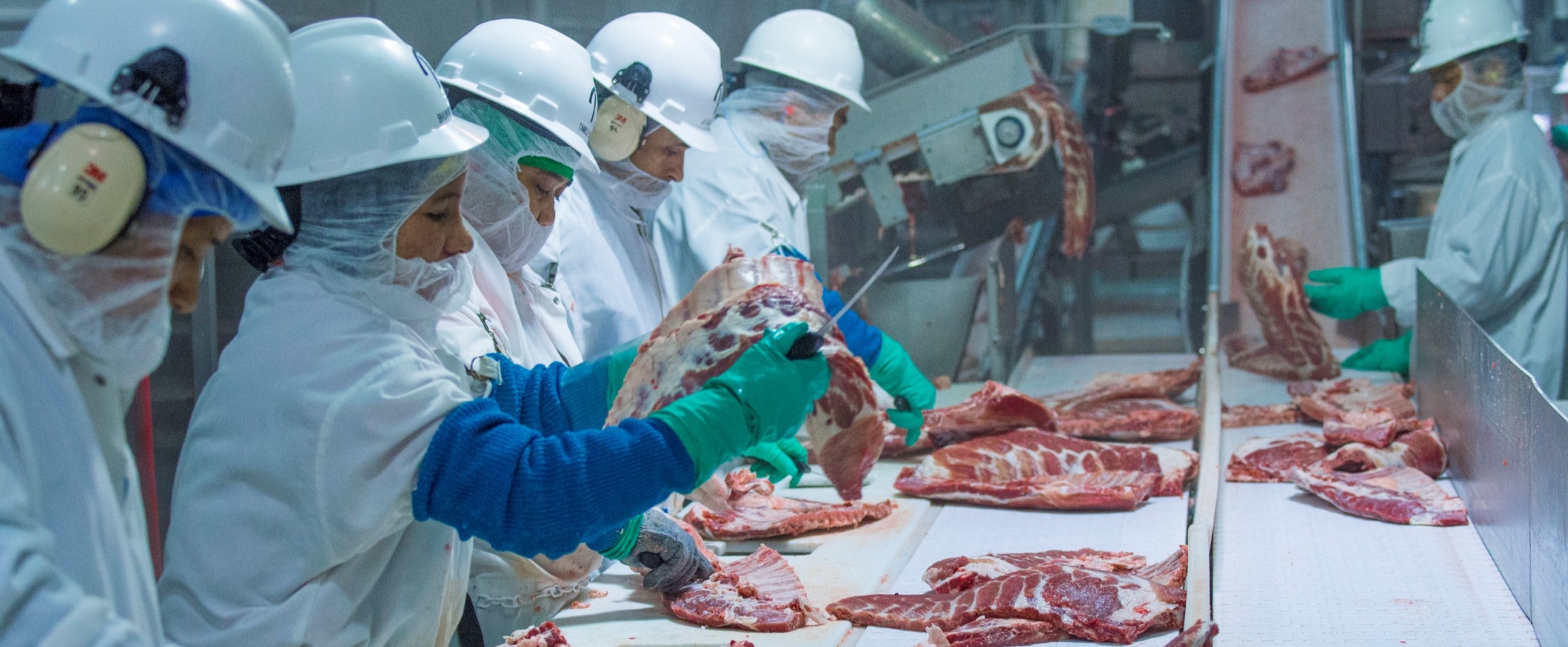 workers in pork processing plant