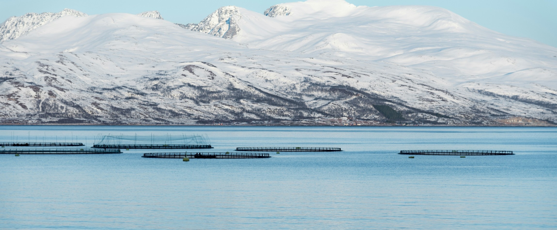 open-net pens fish farming snowy mountains in background Norway