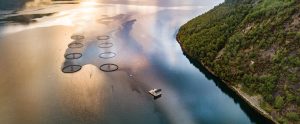 open-net pens fish farming at sunrise Norway