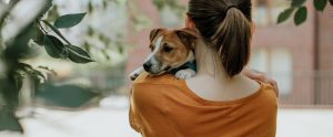 person holding small brown-and-white dog view from behind
