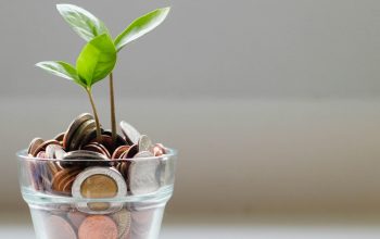small green plant growing out of glass vase filled with coins