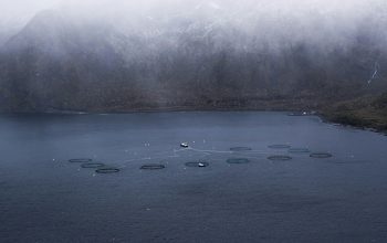 aerial view of open-net pens fish farming Norway