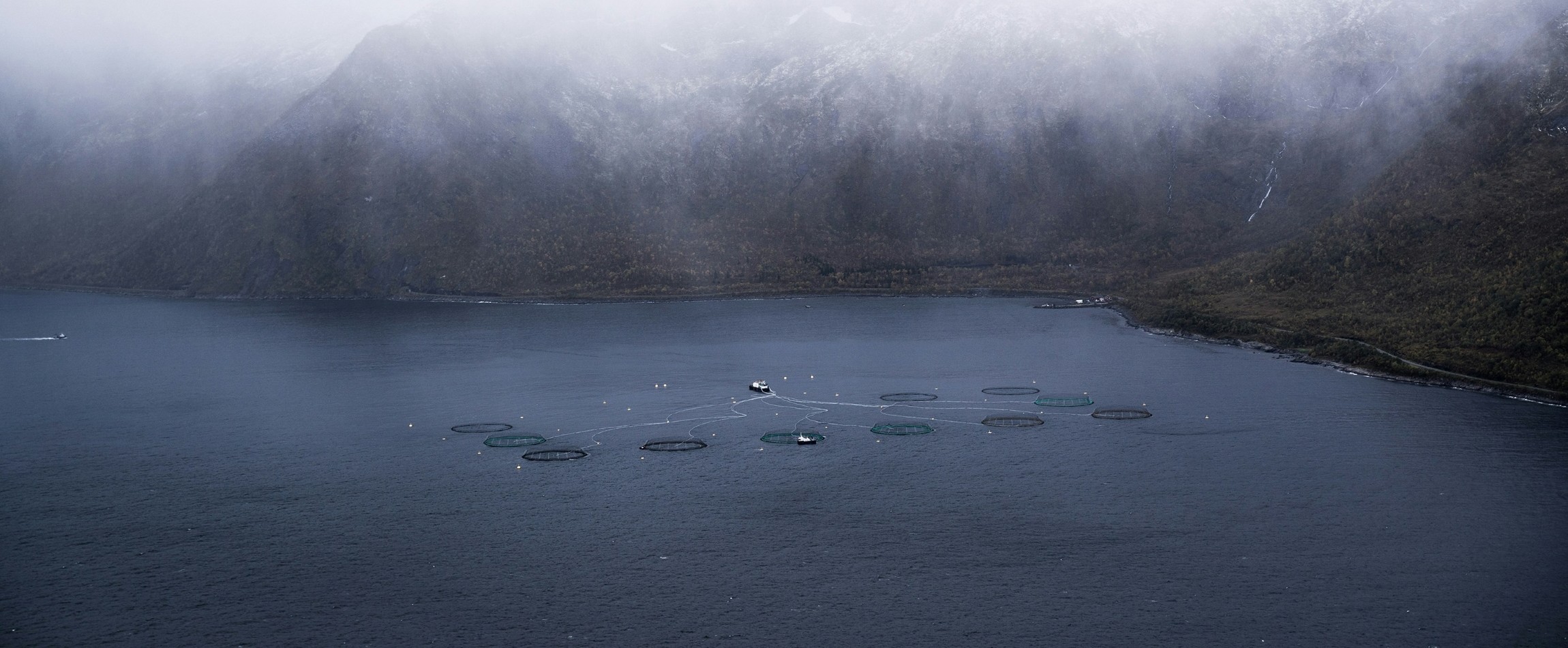 aerial view of open-net pens fish farming Norway